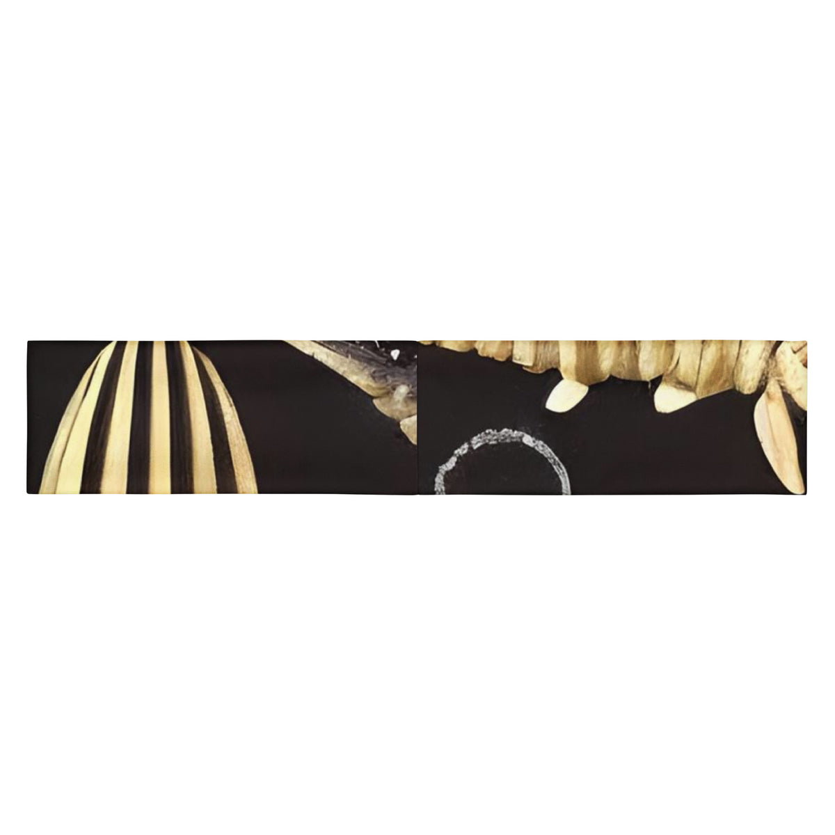 Headband - Fossil Fantasia