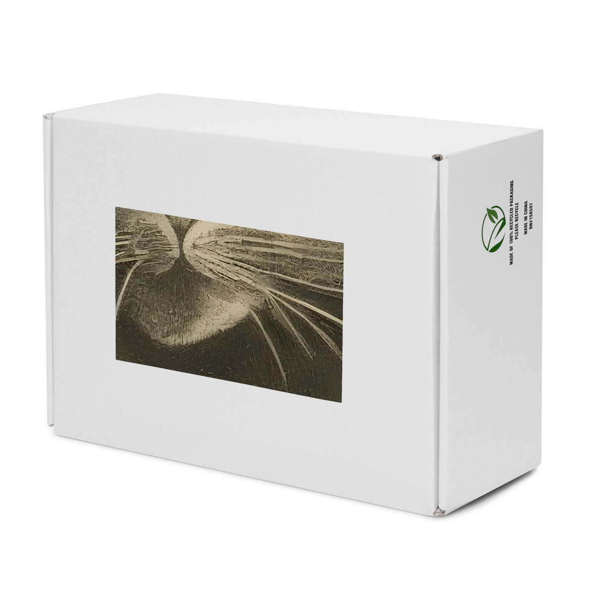 Men's High Top Canvas Shoes - Feline Symphony