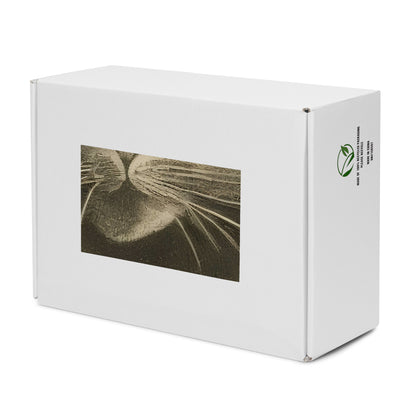 Men's High Top Canvas Shoes - Feline Symphony